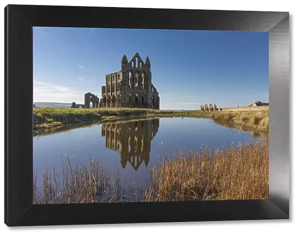 Ruins of Whitby Abbey reflected in a pool, Whitby, North Yorkshire, England, United