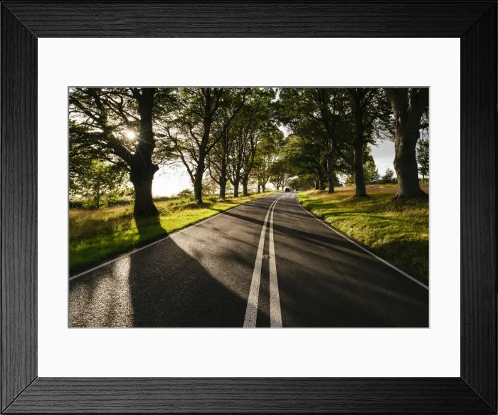 Framed Print : Sunset lighting on The B3082, Dorset, England Framed Print : Sunset lighting on The B3082, Dorset, England