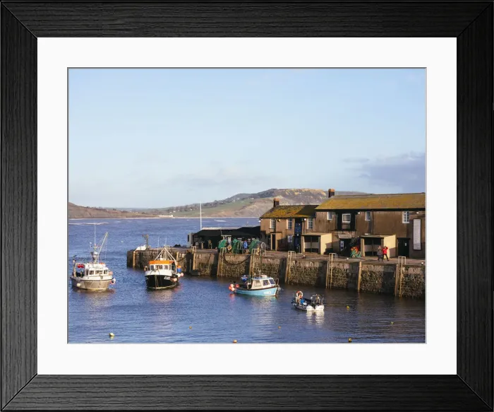 Framed Print : Fishing trawlers in harbour, Lyme Regis, Dorset, England Framed Print : Fishing trawlers in harbour, Lyme Regis, Dorset, England