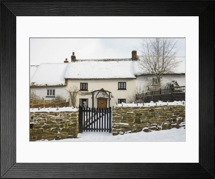 Framed Print : Traditional thatched cottage along Fore Street, forming part of the longest continuous Framed Print : Traditional thatched cottage along Fore Street, forming part of the longest continuous