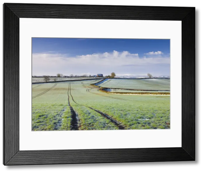 Framed Print : Frost covered farmland in Morchard Bishop, Mid Devon, England. March 2009 Framed Print : Frost covered farmland in Morchard Bishop, Mid Devon, England. March 2009