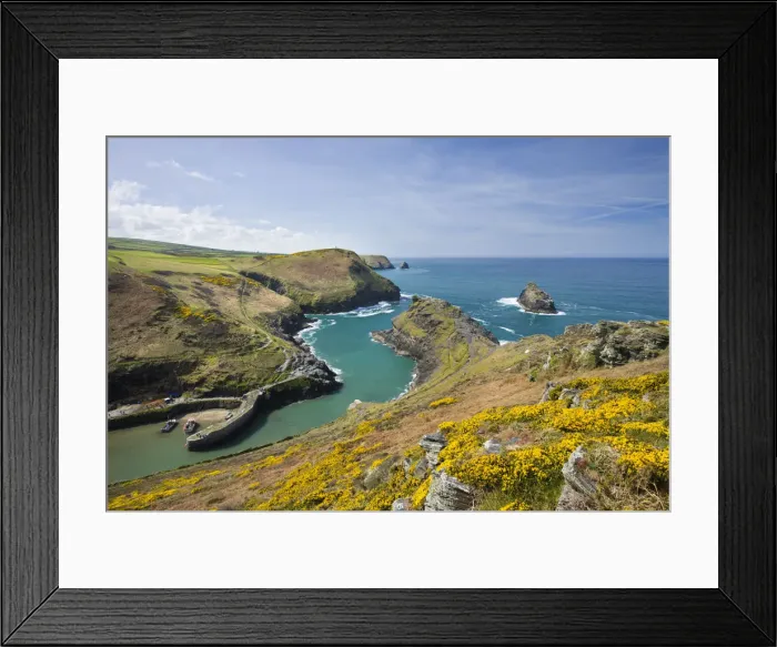 Framed Print : Boscastle Harbour from Penally Hill, North Cornwall, England. Spring (April) 2009 Framed Print : Boscastle Harbour from Penally Hill, North Cornwall, England. Spring (April) 2009