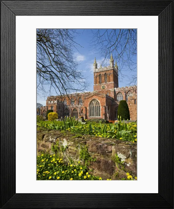 Framed Print : Church of the Holy Cross, the parish church of Crediton in early Spring, Devon, England