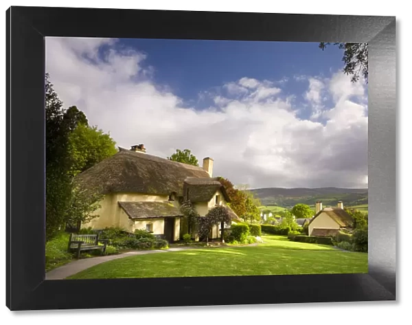 Thatched cottages in the picturesque village of Selworthy, Exmoor National Park, Somerset