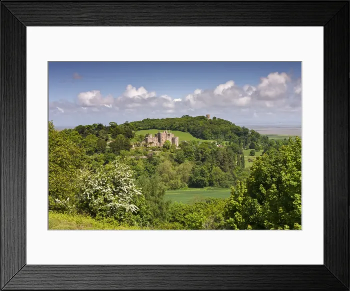 Framed Print : Dunster Castle and Conygar Tower, Exmoor National Park, Somerset, England Framed Print : Dunster Castle and Conygar Tower, Exmoor National Park, Somerset, England