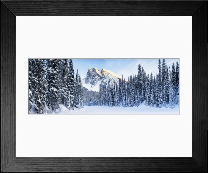 Framed Print : Mt. Burgess & Snow-covered Pine Trees, Yoho National Park, British Columbia, Canada Framed Print : Mt. Burgess & Snow-covered Pine Trees, Yoho National Park, British Columbia, Canada