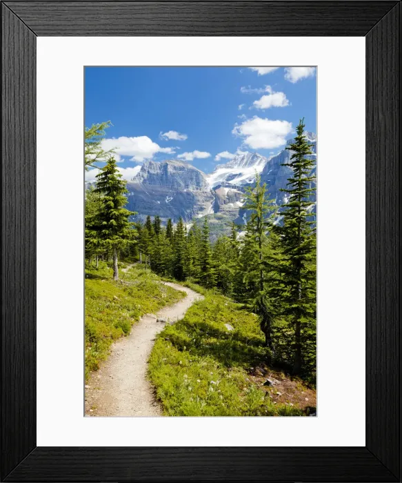 Framed Print : Footpath through Valley of the Ten Peaks, Banff National Park, Alberta, Canada Framed Print : Footpath through Valley of the Ten Peaks, Banff National Park, Alberta, Canada