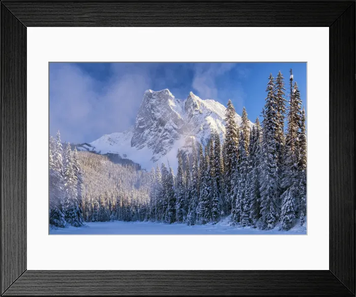 Framed Print : Mt. Burgess & Snow-covered Pine Trees, Yoho National Park, British Columbia, Canada Framed Print : Mt. Burgess & Snow-covered Pine Trees, Yoho National Park, British Columbia, Canada
