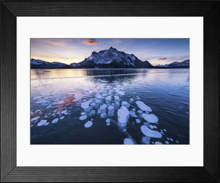 Framed Print : Mt. Michener & Frozen Bubbles in Abraham Lake at Sunrise, Kootenay Plains, Alberta Framed Print : Mt. Michener & Frozen Bubbles in Abraham Lake at Sunrise, Kootenay Plains, Alberta