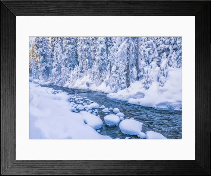 Framed Print : Snow-covered Pine Trees along River, Yoho National Park, British Columbia, Canada Framed Print : Snow-covered Pine Trees along River, Yoho National Park, British Columbia, Canada