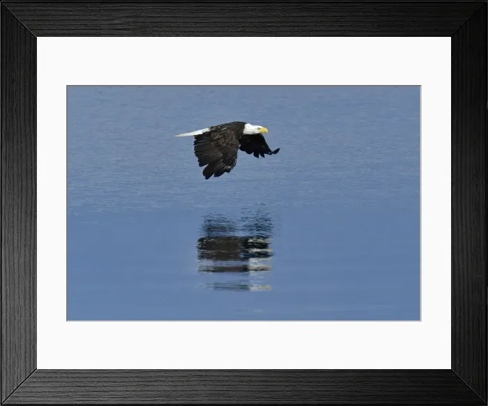 Framed Print : North America, Canada, British Columbia, Queen Charlotte Islands, Haida Gwaii, Gwaii Framed Print : North America, Canada, British Columbia, Queen Charlotte Islands, Haida Gwaii, Gwaii