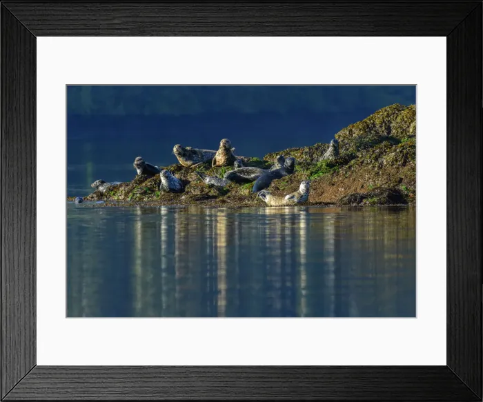 Framed Print : North America, Canada, British Columbia, Queen Charlotte Islands, Haida Gwaii, Gwaii Framed Print : North America, Canada, British Columbia, Queen Charlotte Islands, Haida Gwaii, Gwaii