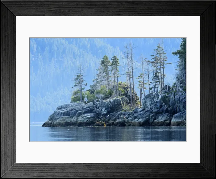 Framed Print : North America, Canada, British Columbia, Queen Charlotte Islands, Haida Gwaii, Gwaii Framed Print : North America, Canada, British Columbia, Queen Charlotte Islands, Haida Gwaii, Gwaii