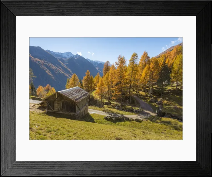 Framed Print : Mountain hut in autumn Europe, Italy, Trentino region, Trento district, Pejo valley Framed Print : Mountain hut in autumn Europe, Italy, Trentino region, Trento district, Pejo valley