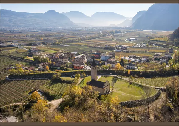 Rotaliana plain vineyards in Zambana Europe, Italy, Trentino Alto Adige
