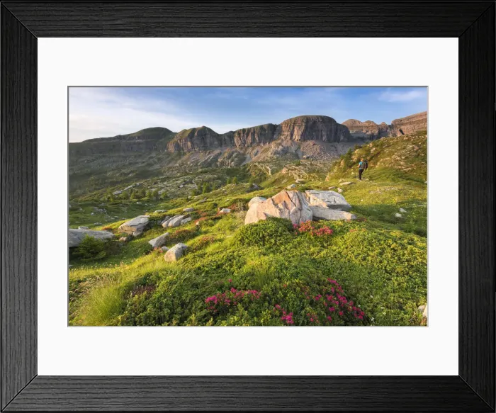 Framed Print : Natural Park Adamello Brenta in summer season Europe, Italy, Trentino Alto Adige Framed Print : Natural Park Adamello Brenta in summer season Europe, Italy, Trentino Alto Adige