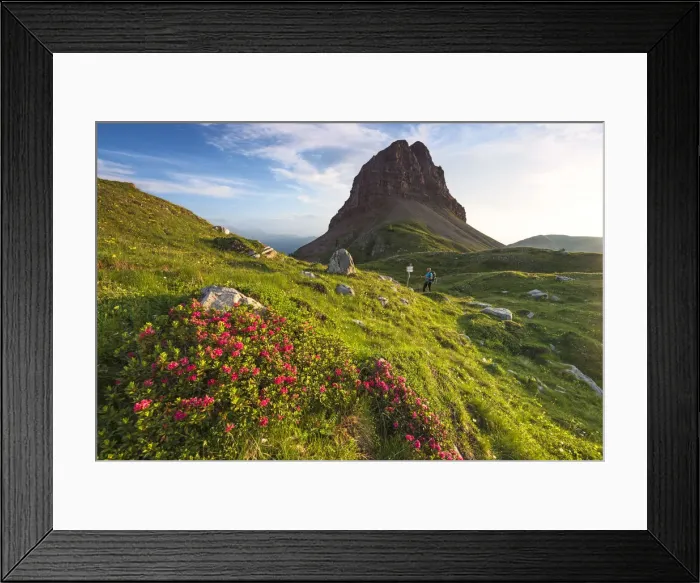 Framed Print : Palon mountain in summer season Europe, Italy, Trentino, Non valley, Cles, Nana valley Framed Print : Palon mountain in summer season Europe, Italy, Trentino, Non valley, Cles, Nana valley