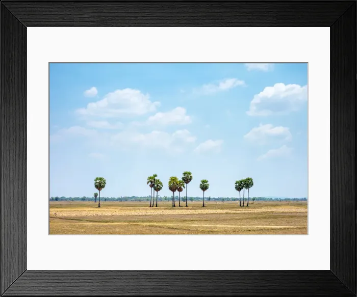 Framed Print : Empty rural landscape with palm trees near Kampong Svay, Kampong Thom Province, Cambodia Framed Print : Empty rural landscape with palm trees near Kampong Svay, Kampong Thom Province, Cambodia