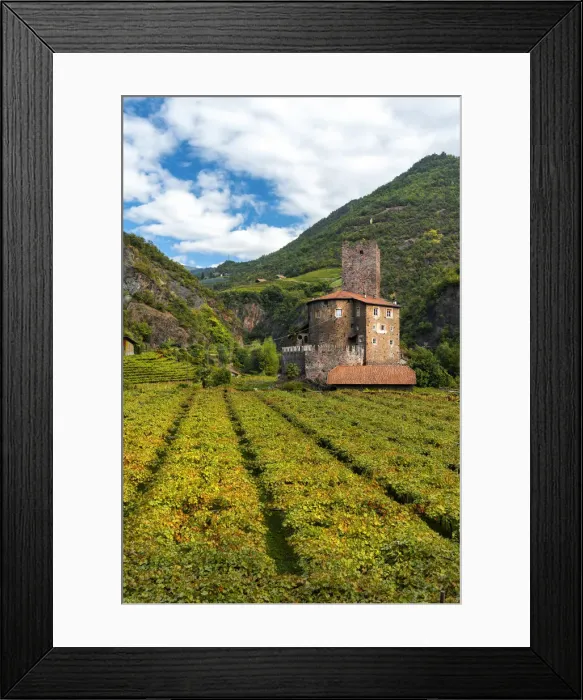 Framed Print : Castel Novale among the vineyards Europe, Italy, South Tyrol, Sarentino valley, Bolzano Framed Print : Castel Novale among the vineyards Europe, Italy, South Tyrol, Sarentino valley, Bolzano