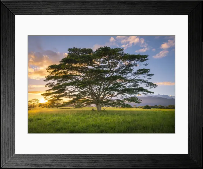 Framed Print : Wailua river State Park, Kalepa Mountain forest reserve, Kauai, Hawaii, USA Framed Print : Wailua river State Park, Kalepa Mountain forest reserve, Kauai, Hawaii, USA