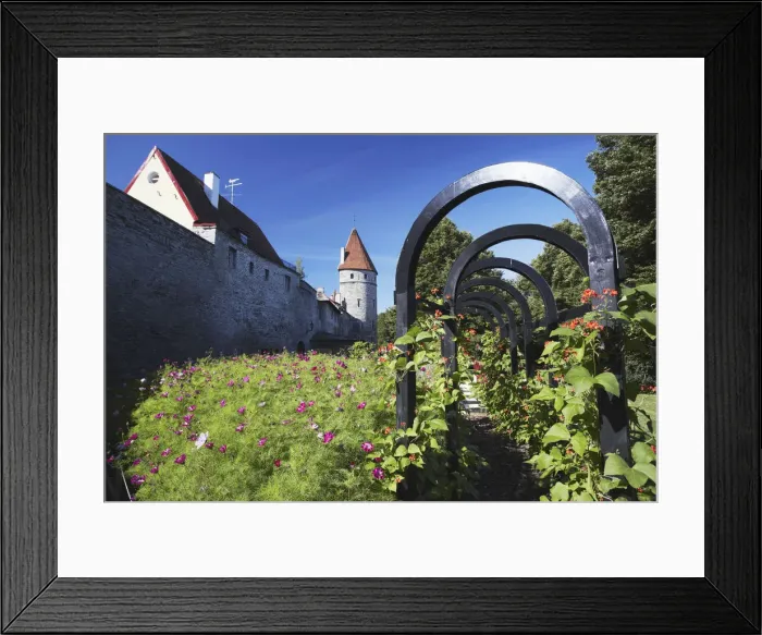 Framed Print : Estonia, Tallinn, Garden Outside Lower Town Wall Framed Print : Estonia, Tallinn, Garden Outside Lower Town Wall