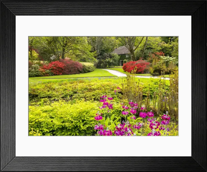 Framed Print : Thatched Cottage & Garden, Lanhydrock, Cornwall, England Framed Print : Thatched Cottage & Garden, Lanhydrock, Cornwall, England