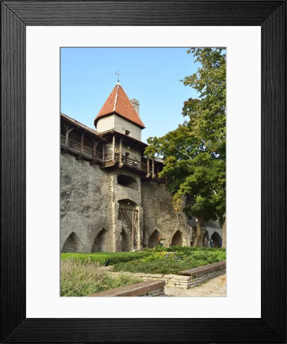 Framed Print : Medieval defence walls, dating back to the 14th century. Tallinn, Estonia Framed Print : Medieval defence walls, dating back to the 14th century. Tallinn, Estonia