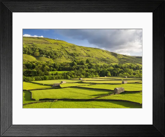 Framed Print : United Kingdom, England, North Yorkshire, Gunnerside. Traditional barns in Swaledale Framed Print : United Kingdom, England, North Yorkshire, Gunnerside. Traditional barns in Swaledale