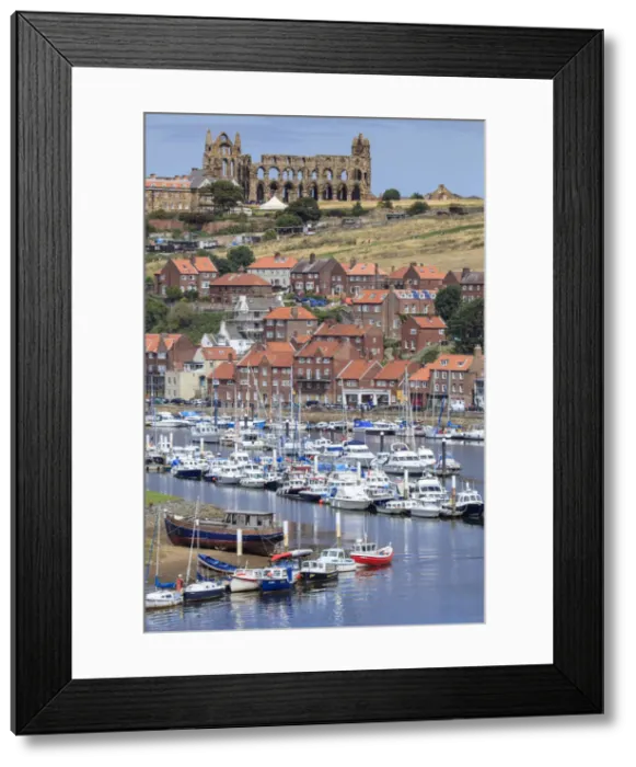 Framed Print : Europe, Great Britain, England, Whitby, view of the town harbour and the ruined abbey Framed Print : Europe, Great Britain, England, Whitby, view of the town harbour and the ruined abbey