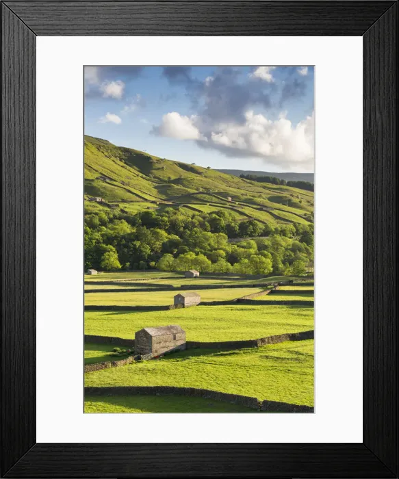 Framed Print : United Kingdom, England, North Yorkshire, Gunnerside. Traditional barns in Swaledale