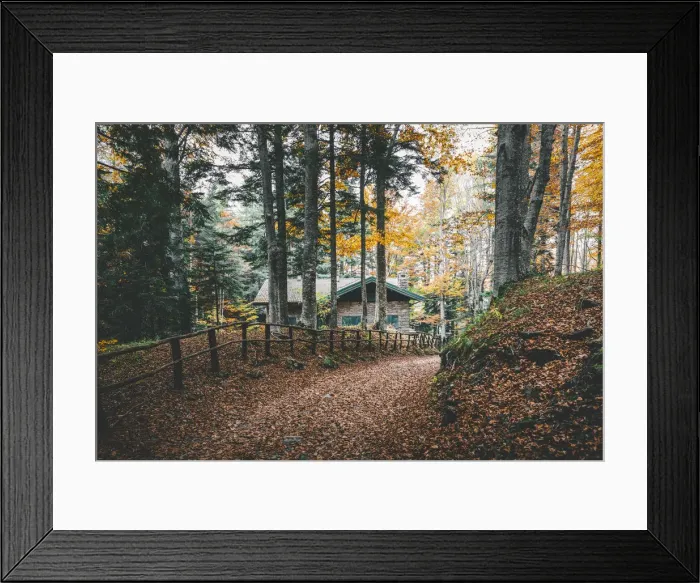 Framed Print : Appennino Tosco - Emiliano natural park, Dardagna Falls path, Modena province, Emilia Framed Print : Appennino Tosco - Emiliano natural park, Dardagna Falls path, Modena province, Emilia
