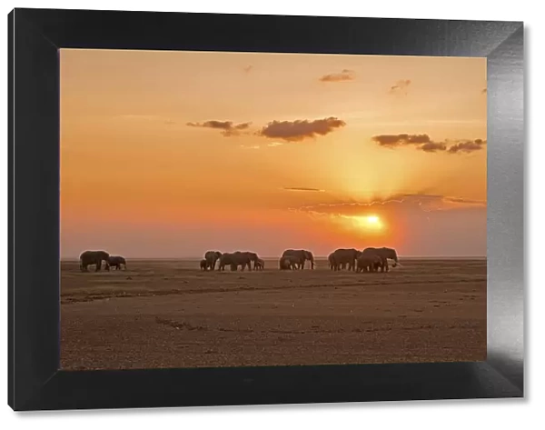Amboseli Park, Kenya, Africa A family of elephants crossing the lake in the dry Amboseli