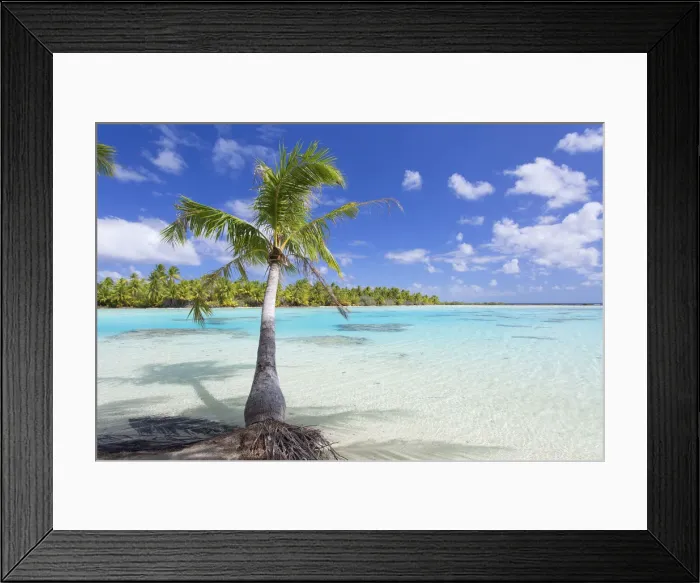 Framed Print : Green Lagoon, Fakarava, Tuamotu Islands, French Polynesia Framed Print : Green Lagoon, Fakarava, Tuamotu Islands, French Polynesia