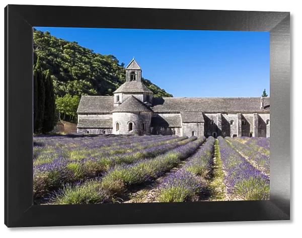 Abbaye de Senanque, Provence, France