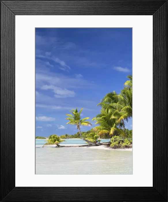 Framed Print : Beach at Les Sables Roses (Pink Sands), Tetamanu, Fakarava, Tuamotu Islands, French Framed Print : Beach at Les Sables Roses (Pink Sands), Tetamanu, Fakarava, Tuamotu Islands, French
