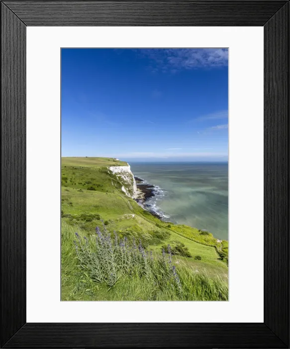 Framed Print : UK, England, Kent Dover The White Cliffs Framed Print : UK, England, Kent Dover The White Cliffs
