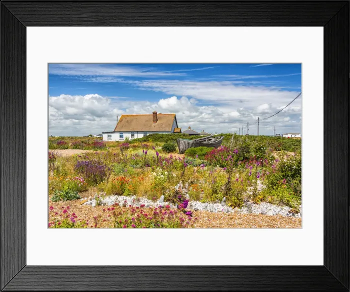 Framed Print : Summer in Dungeness, Kent, England Framed Print : Summer in Dungeness, Kent, England