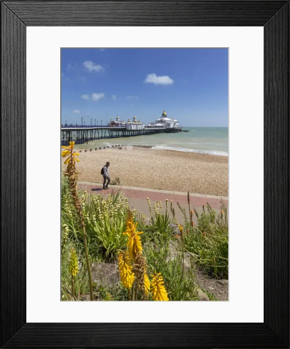 Framed Print : UK, England, Great Britain East Sussex Eastbourne Eastbourne Pier Framed Print : UK, England, Great Britain East Sussex Eastbourne Eastbourne Pier