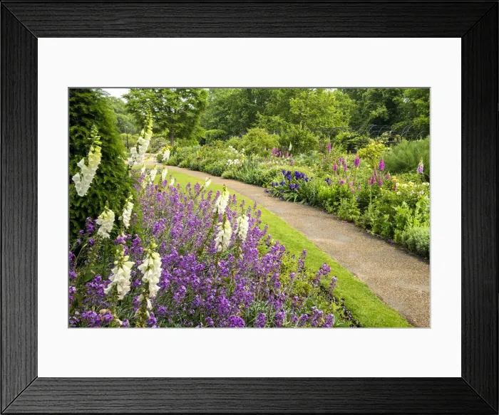 Framed Print : Hyde Park Gardens, London, England Framed Print : Hyde Park Gardens, London, England