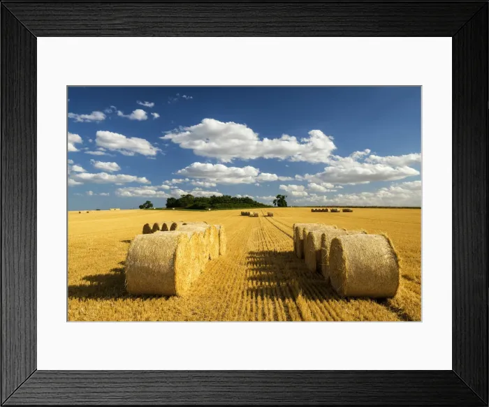 Framed Print : Hay Bales at Harvest Time, Norfolk, England