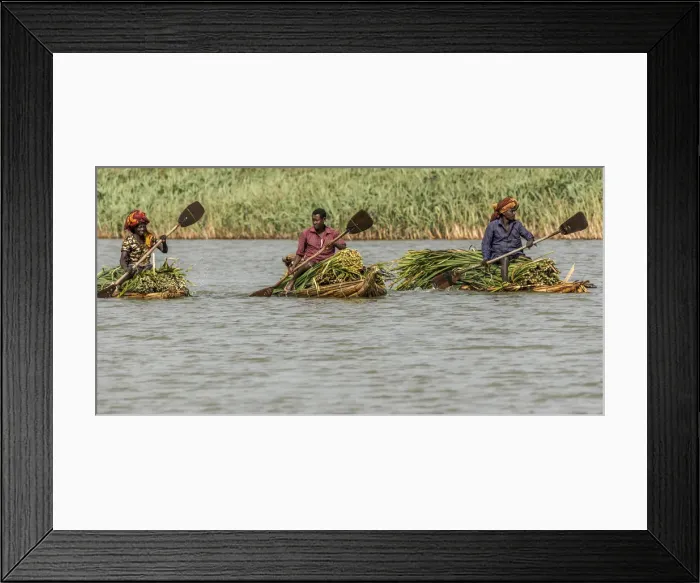 Framed Print : Africa, Ethiopia, Bahir Dar. Men on canoes transporting papyrus