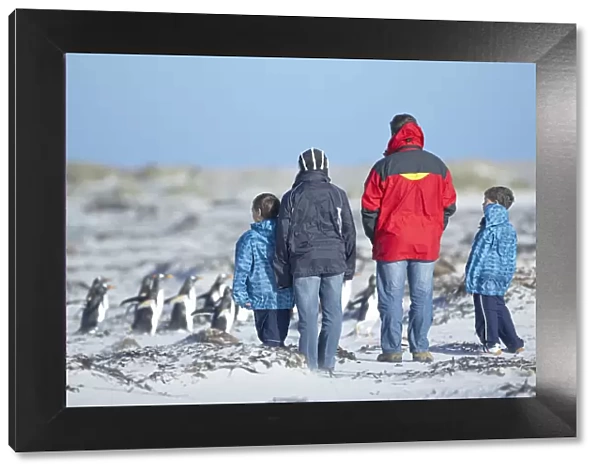 People watching penguins, Falkland Islands, South Atlantic, South America