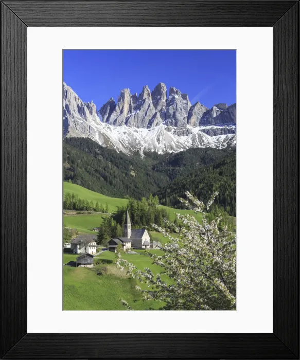 Framed Print : Flowering frames the village of St. Magdalena and the Odle group Framed Print : Flowering frames the village of St. Magdalena and the Odle group