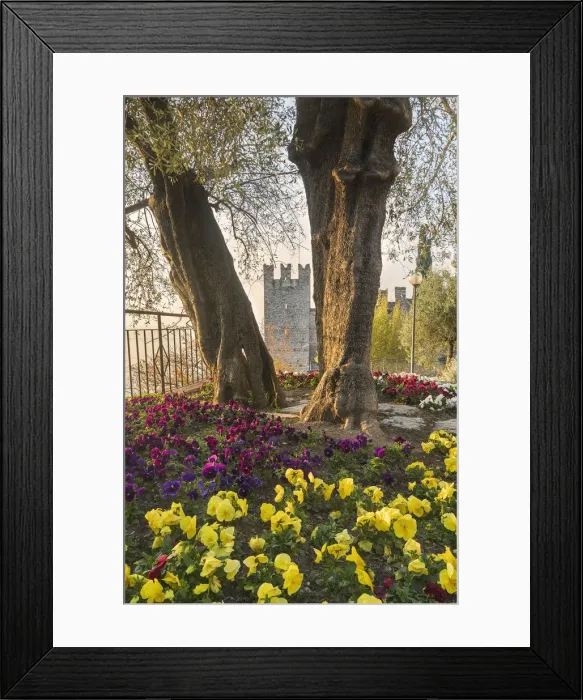 Framed Print : Sirmione, Garda Lake, Province of Brescia, Italy Framed Print : Sirmione, Garda Lake, Province of Brescia, Italy