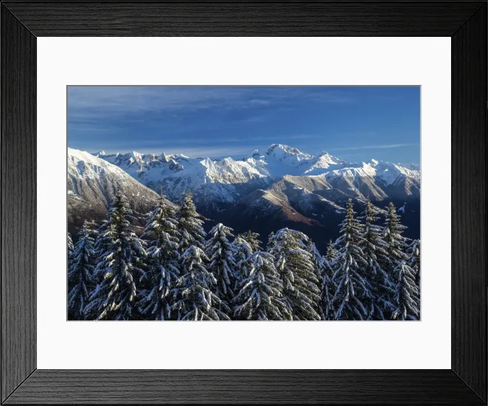 Framed Print : Snow covered trees and Mount Disgrazia in the background Olano Gerola Valley Valtellina Framed Print : Snow covered trees and Mount Disgrazia in the background Olano Gerola Valley Valtellina