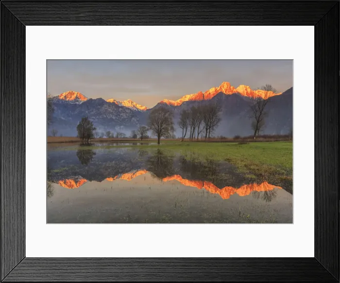 Framed Print : Natural reserve of Pian di Spagna flooded with snowy peaks reflected in the water