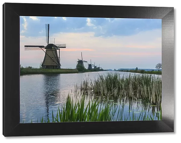 Green grass frames the windmills reflected in the canal at dawn Kinderdijk Rotterdam