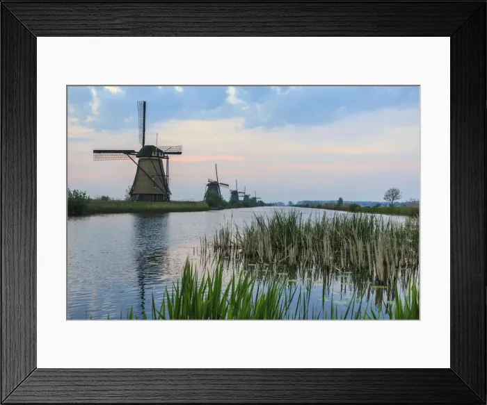 Framed Print : Green grass frames the windmills reflected in the canal at dawn Kinderdijk Rotterdam Framed Print : Green grass frames the windmills reflected in the canal at dawn Kinderdijk Rotterdam