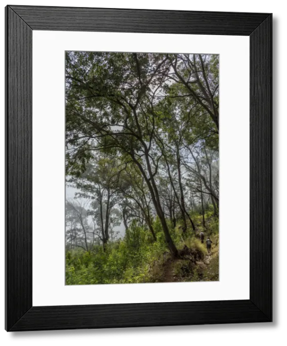 Framed Print : africa, Cape Verde, Fogo. Hiking down to Mosteiros Framed Print : africa, Cape Verde, Fogo. Hiking down to Mosteiros
