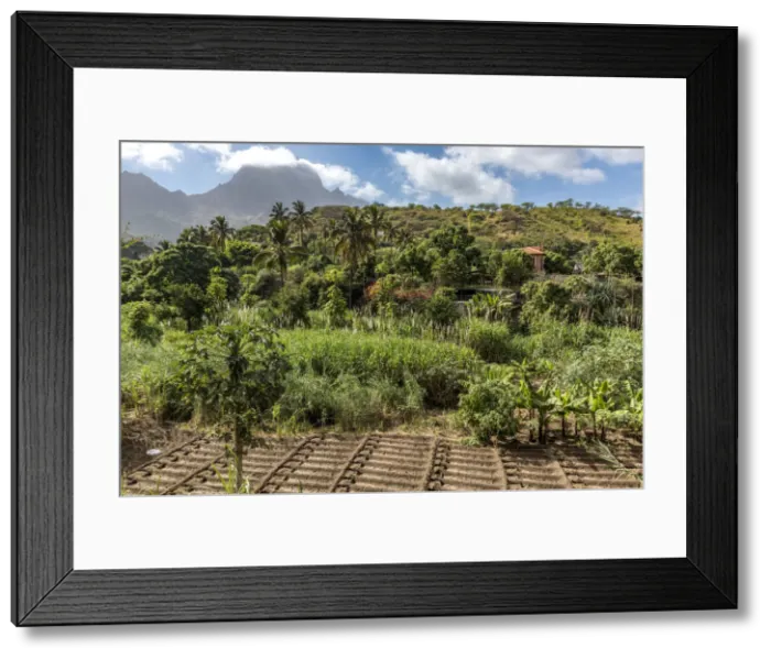 Framed Print : africa, Cape Verde, Santiago. The green heart of the island Framed Print : africa, Cape Verde, Santiago. The green heart of the island